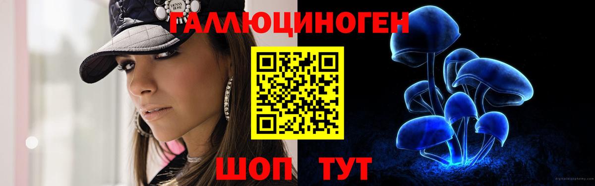 Псилоцибиновые грибы мицелий Нижний Новгород